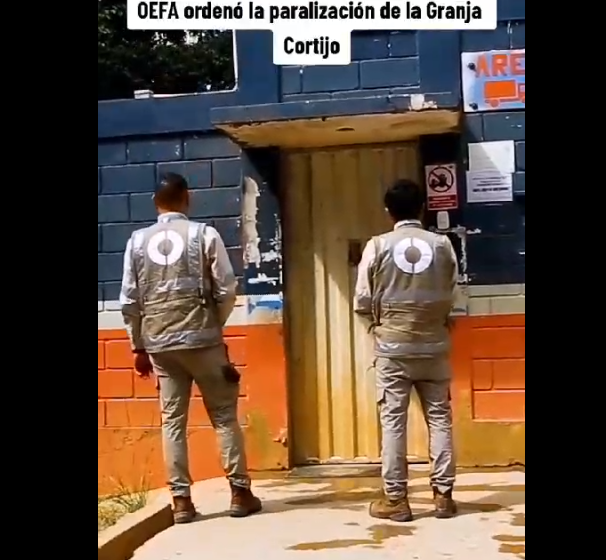  OEFA Ordenó la paralización de la Granja Cortijo en Lamas de propiedad de Don Pollo