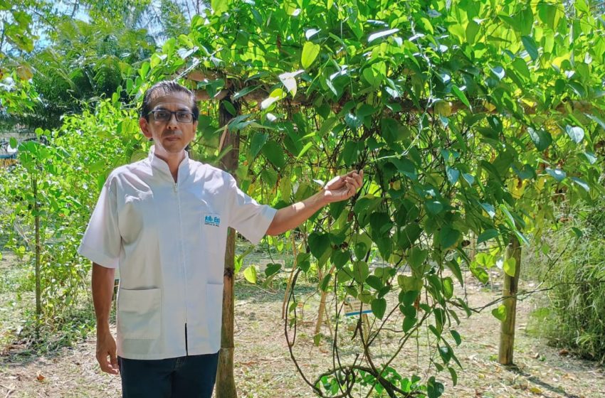  Conoce al médico peruano que cura enfermedades con plantas medicinales [video]