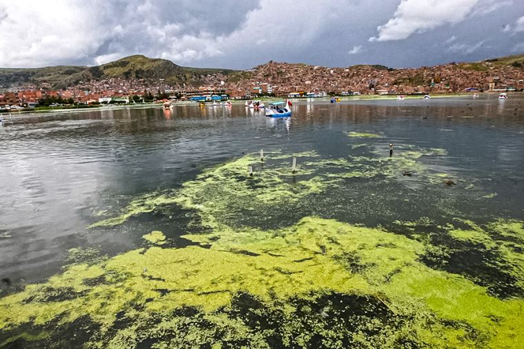  ¡Buena noticia! Lago Titicaca recupera de forma parcial su nivel gracias a últimas lluvias