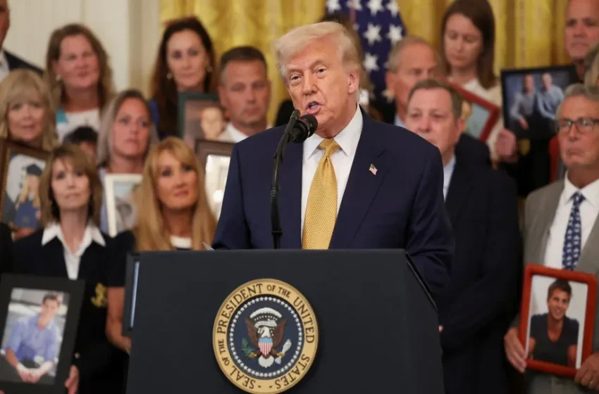  Donald Trump dice que los carteles tienen un «fuerte control» de México: «No lo podemos permitir»