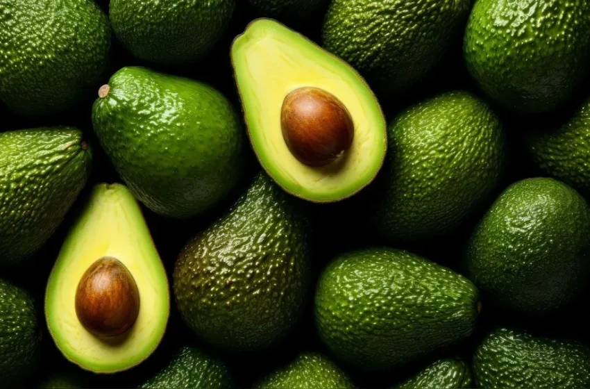  El «Oro Verde» peruano brilla en Europa y Norteamérica: ¿Cómo se insertan las familias productoras en la cadena global?