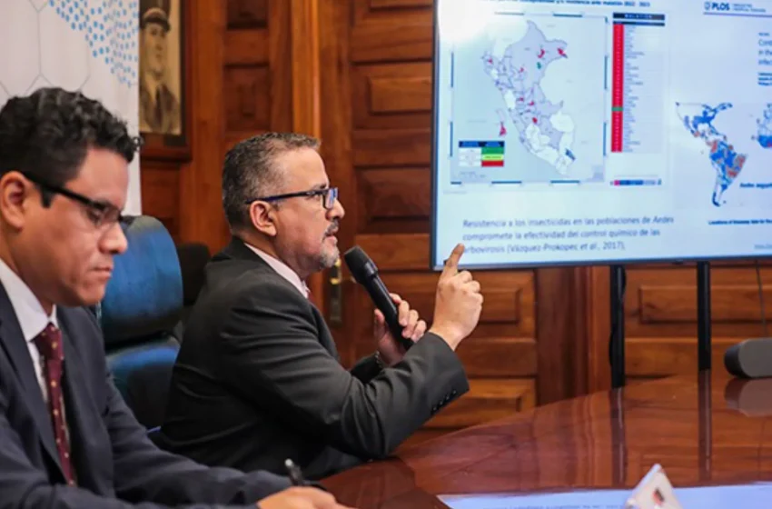  Minsa liberará zancudos “Wolbachia” para combatir el dengue en Lima Norte ¿Cómo trabajan?