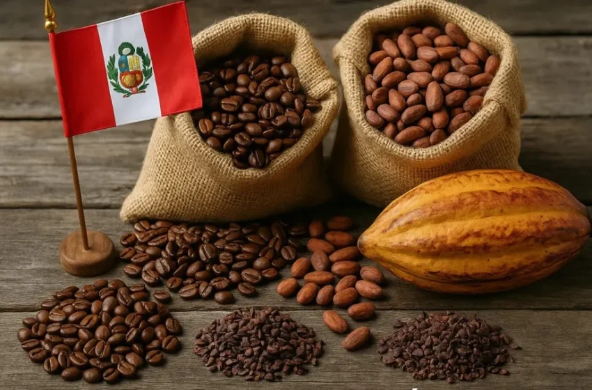  Café y cacao, los granos que marcan un récord histórico en exportaciones: estas son las cifras que mueven al sector