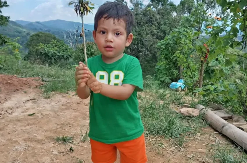  Comisión Regional refuerza acciones ante desaparición de menor en la región San Martín