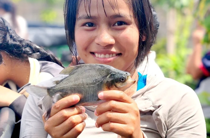  Escolares Awajún aprenden a producir con proyecto acuícola