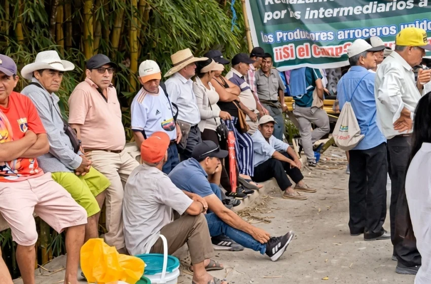  Ante demandas de arroceros, PCM convoca hoy a gobernadores regionales para buscar salida a la crisis