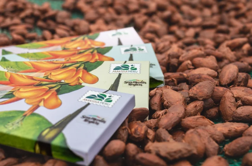  San Martín exhibirá su mejor oferta cacaotera en el principal salón internacional del país
