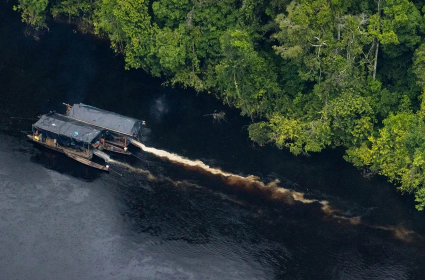  Heridas en las venas de Loreto: El avance imparable del oro ilícito en la Amazonía