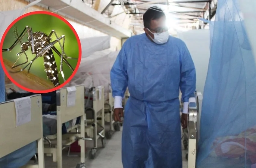  Perú rompe su propio récord de muertes por dengue: en ocho meses del 2026 ya hay más víctimas que en todo el 2025