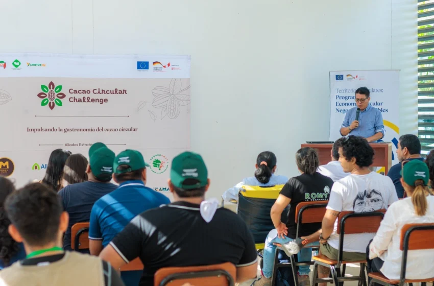  26 semifinalistas avanzan en el concurso para crear nuevos productos a base de cacao