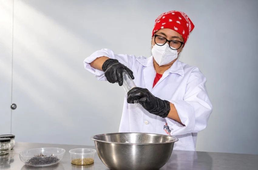  Pucacoco llevará su innovador queso de coco a Expoalimentaria 2026