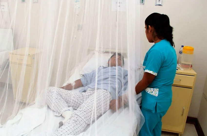  ¡Vacúnate y previene! San Martín frente al reto urgente de frenar el avance del dengue en la región