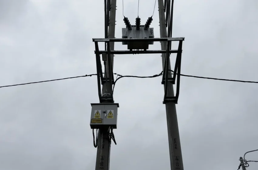  Electrificación rural y promoción comercial generan nuevos resultados para San Martín